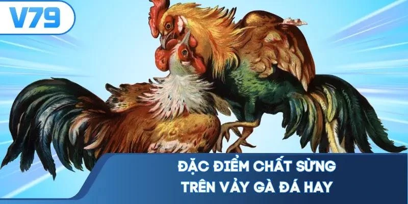 Đặc điểm chất sừng trên vảy gà đá hay